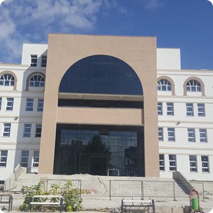 Şanlıtürk Alm 7
